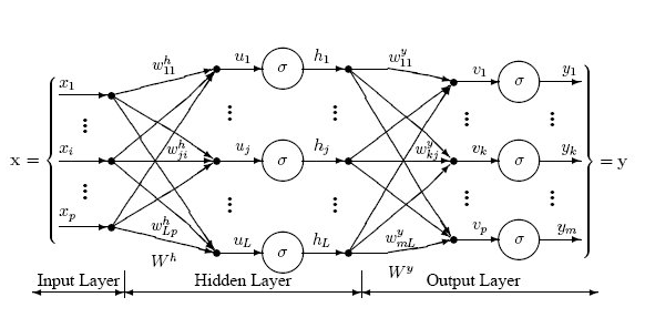 Typical Multi-Layer Perceptron Architecture 