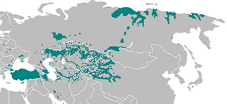 Kirgiz Turkic Map - turkic peoples